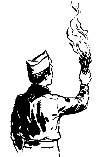 Boy Scout With Torch